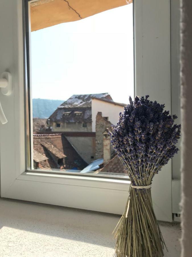 Casa Otto Sighisoara Apartment Екстериор снимка